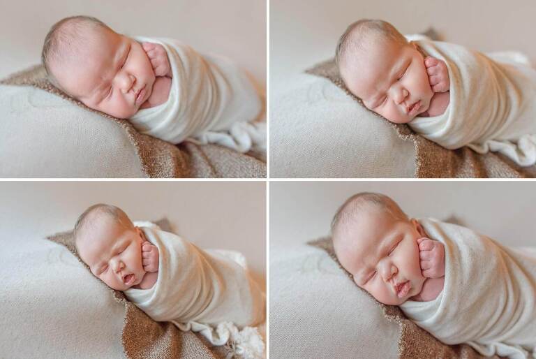 land o lakes newborn session