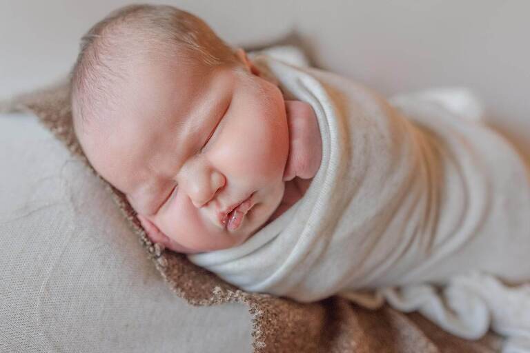 land o lakes newborn session