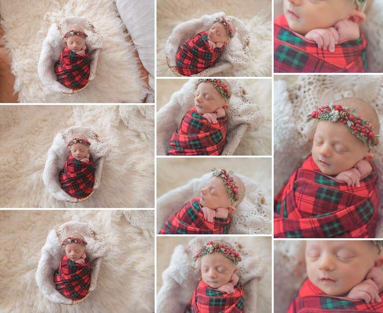 lutz in-home newborn photos