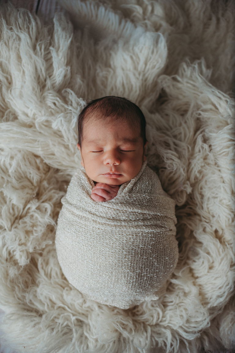 wesley chapel newborn portraits